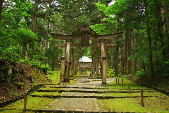 白山ひめ神社が怖い理由⑥:系列の白山神社に怖い噂がある 白山ひめ神社が怖い理由⑥:系列の白山神社に怖い噂がある
