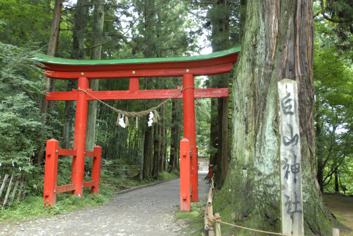 白山神社は日本全国にある白山信仰の神社 白山神社は日本全国にある白山信仰の神社