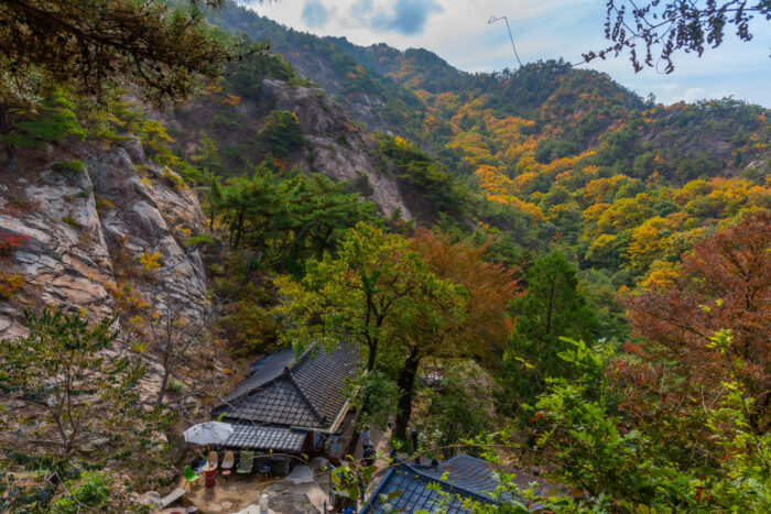 白山ひめ神社が怖い理由②:朝鮮系のルーツが考えられる 白山ひめ神社が怖い理由②:朝鮮系のルーツが考えられる