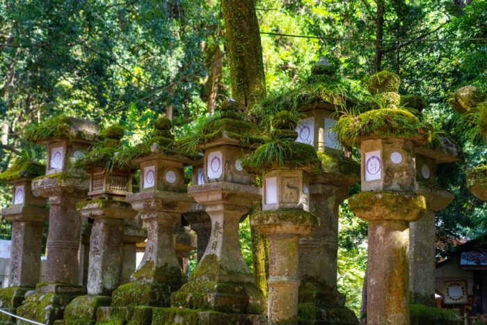 関西の人生に迷ったら行きたい神社⑫：大神神社（奈良）