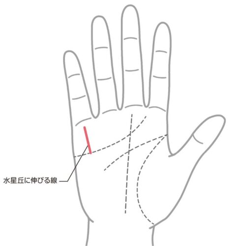 晩年お金に困らない手相①：財運線がはっきりしている
