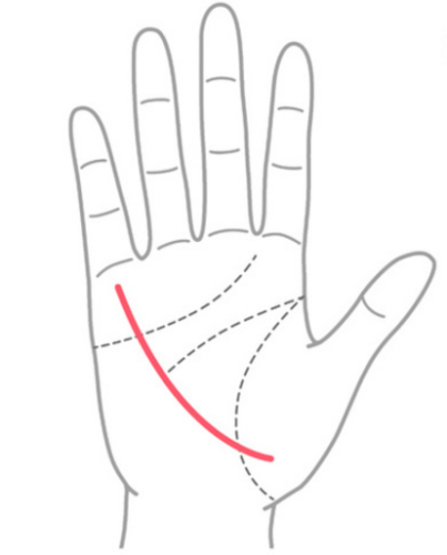 晩年お金に困らない手相⑤：生命線の内側から財運線が出ている