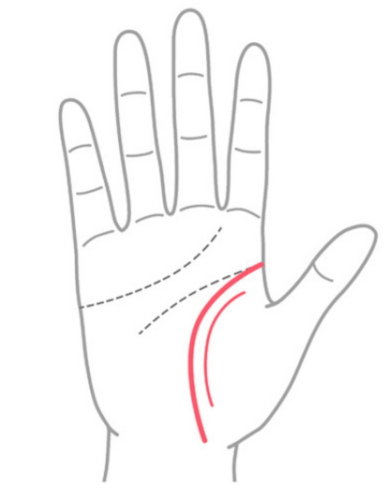 晩年幸せになる手相⑤：生命線の下の部分が二重になっている