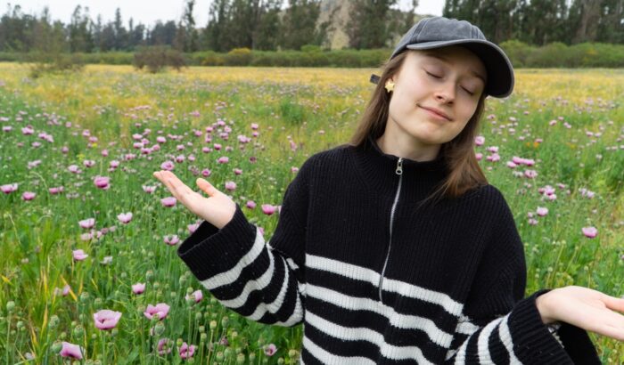 肩の力が抜け、運に任せたくなる