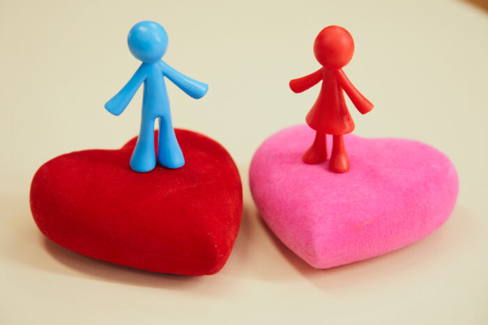 会いに行く 会いに行く