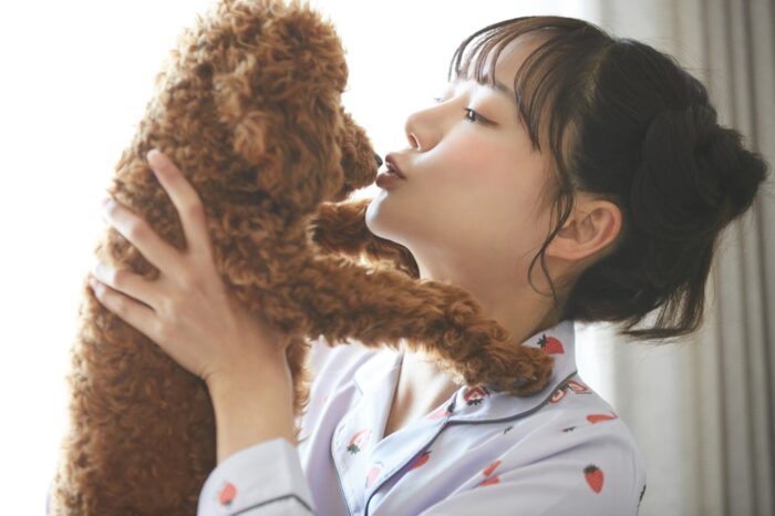 ただし、犬が好きかどうかも関係する ただし、犬が好きかどうかも関係する