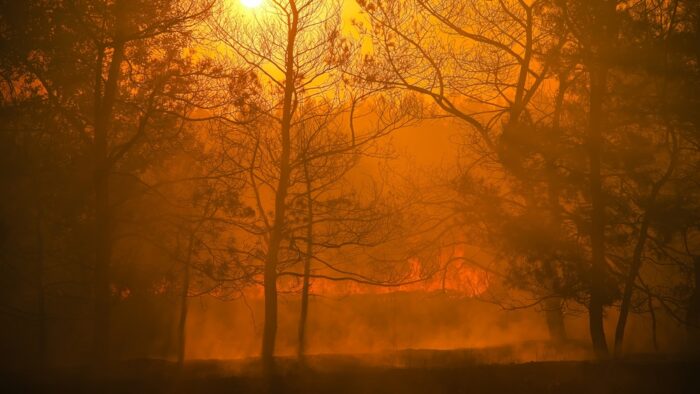 近所の山で火事が起きた夢を見た時 近所の山で火事が起きた夢を見た時